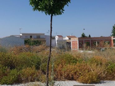 Terreni e lotti in vendita a La Calzada