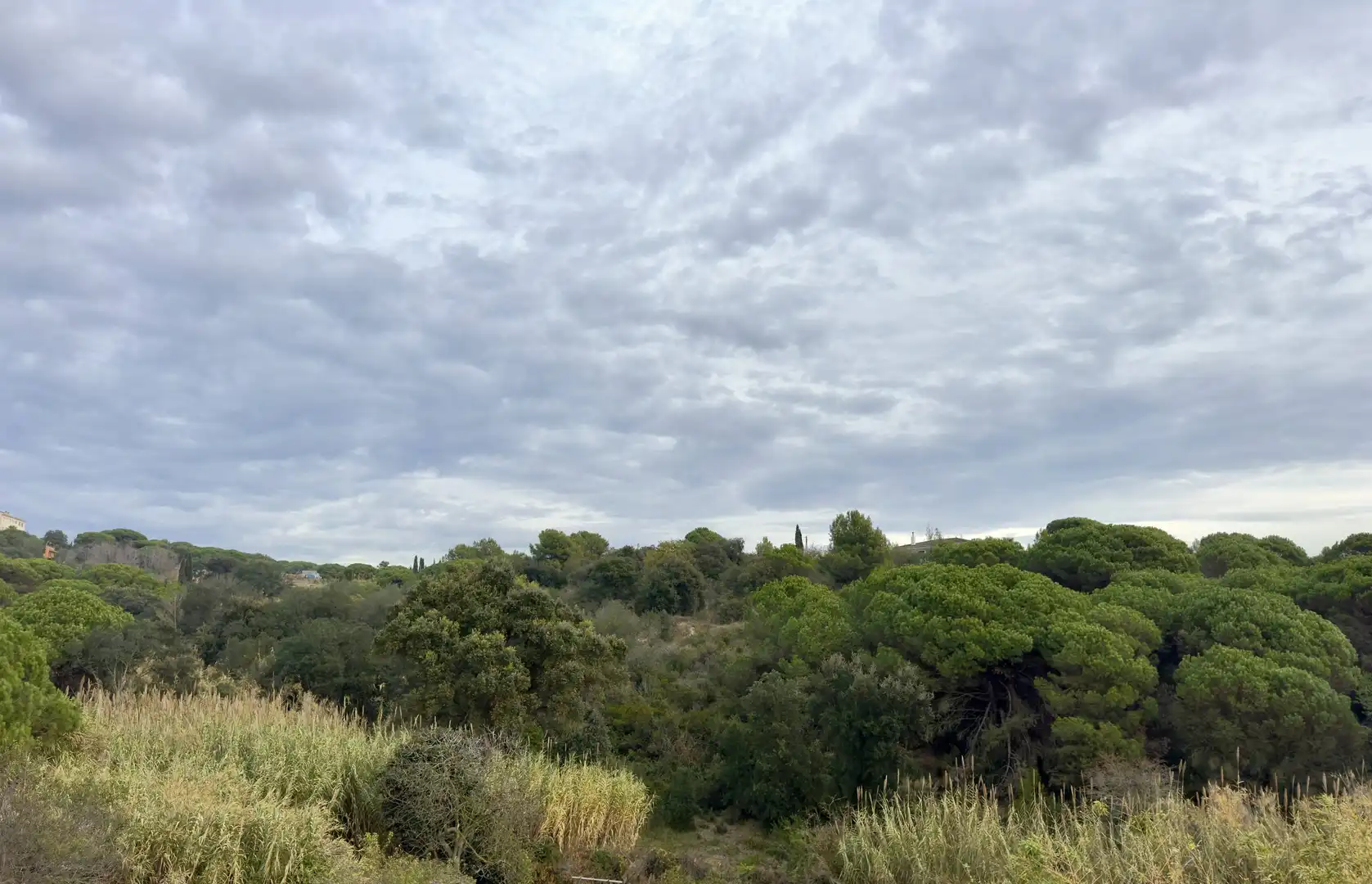 Adosado en venta en Mont Ferrant - Joan Carles I, imagen 24