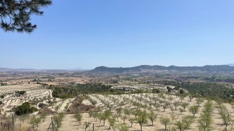 Photo 4 of Houses for sale in Pliego, Murcia