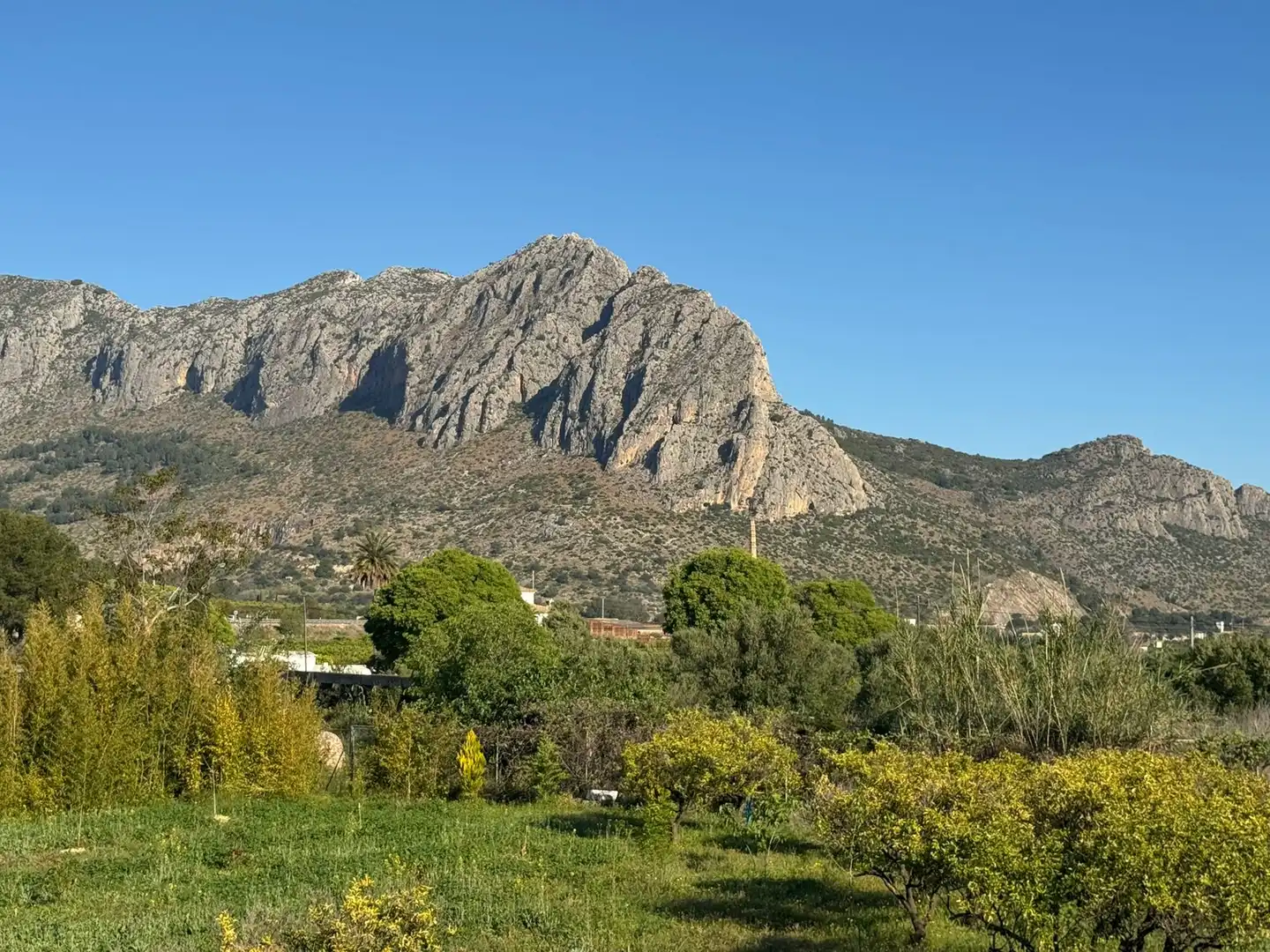 Country house for sale in Ondara, imagen 12