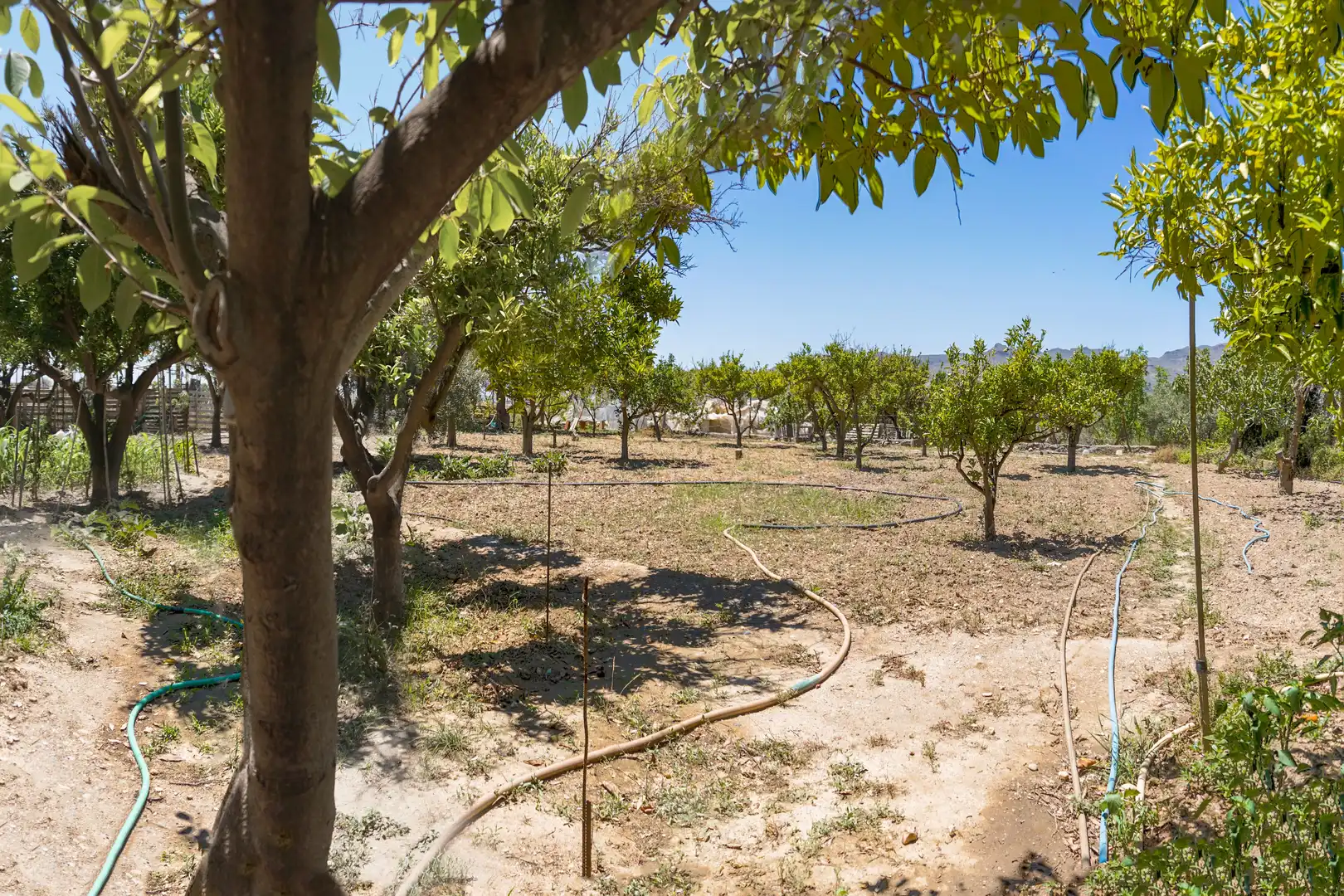 Wohnbaugrundstück zum Verkauf in Calle Filabres, imagen 12