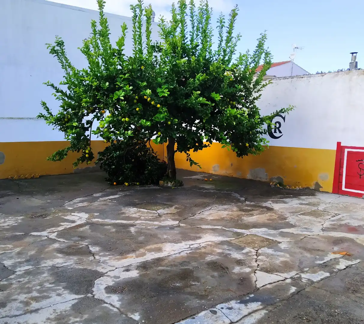Maison avec terrasse à vendre à Puebla de Sancho Pérez, imagen 3