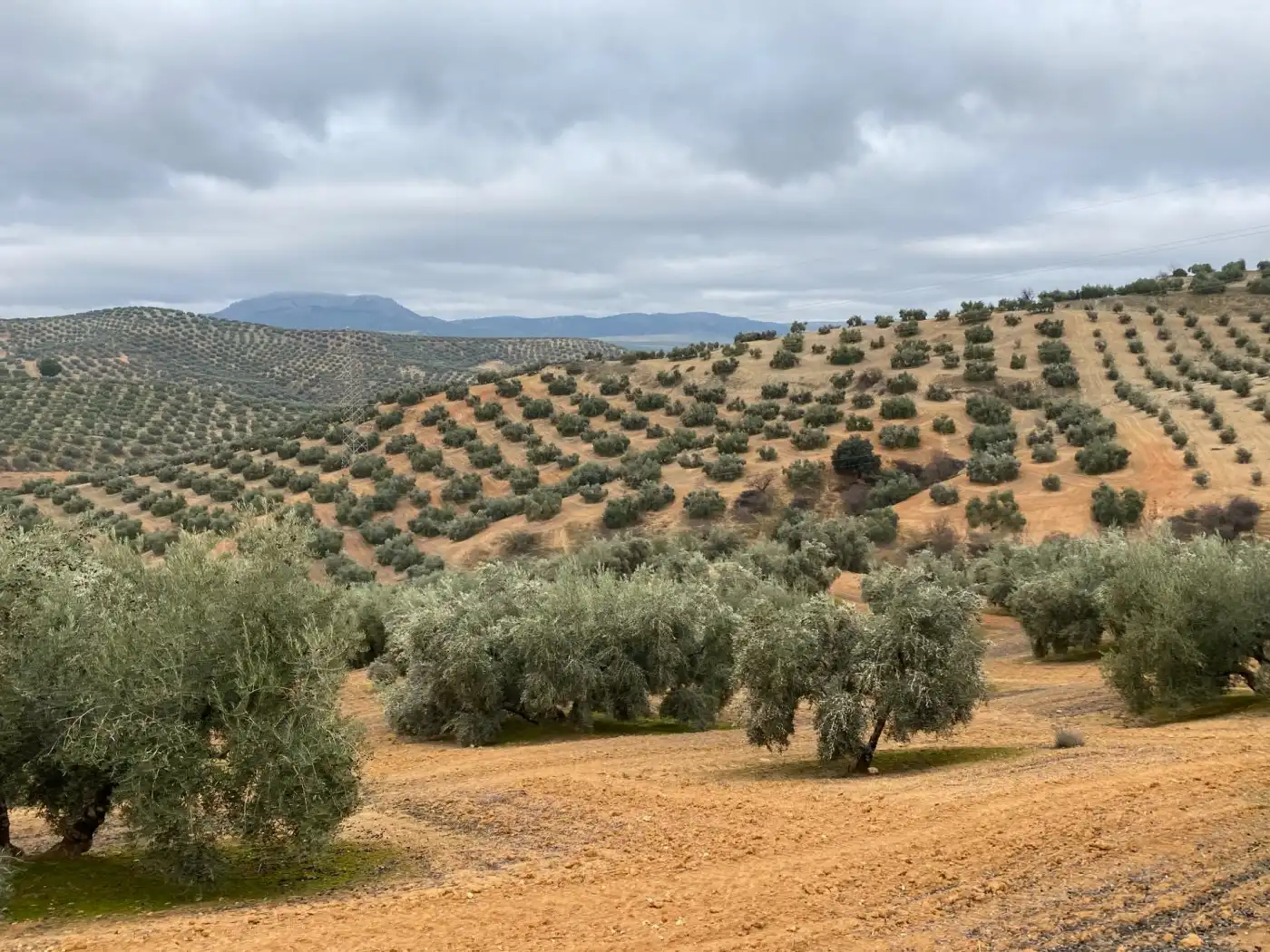 Casa rustica in vendita a Huétor Tájar, imagen 67
