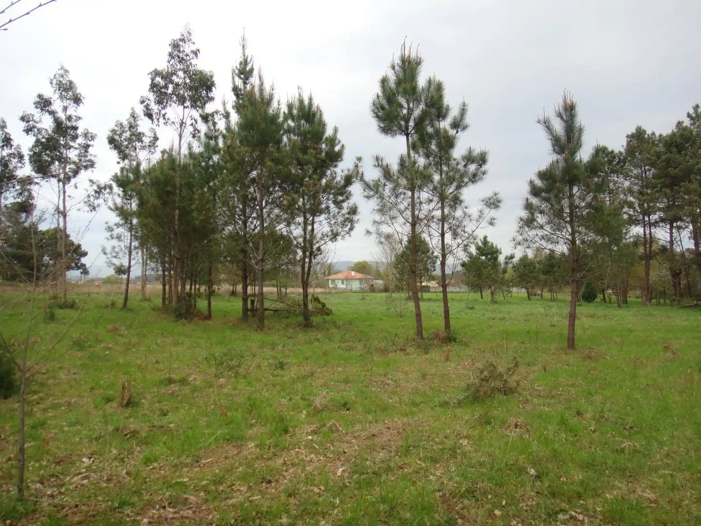 Lands and plots for sale in Brión, imagen 9