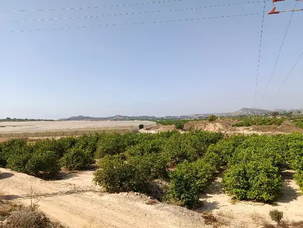 Rustikales Grundstück zum Verkauf in Jacarilla, imagen 4