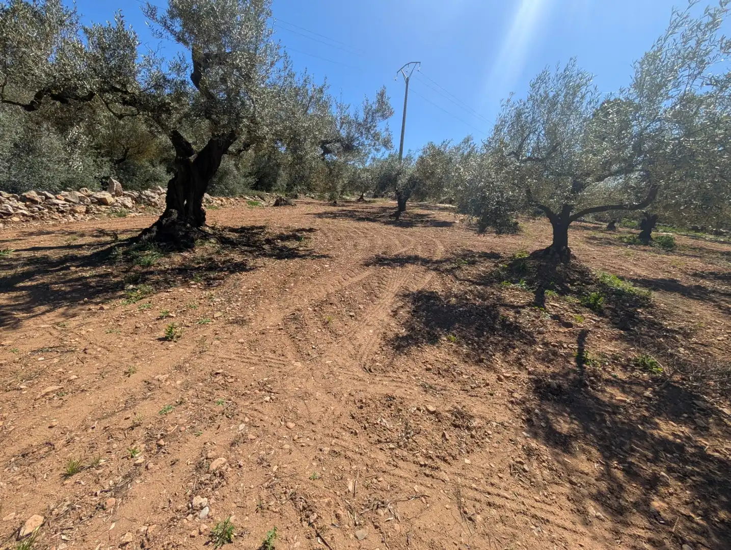 Grundstücke zum Verkauf in Ulldecona