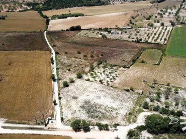Terreno rustico in vendita a son Drago