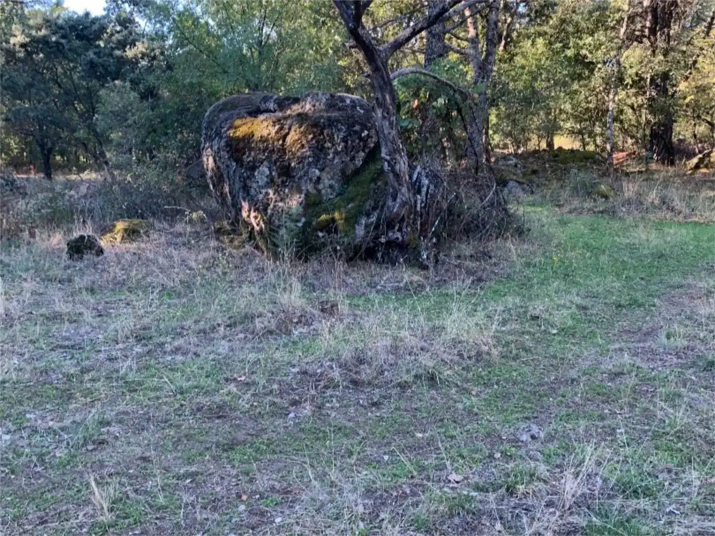 Finca rústica en venta en La Adrada 
