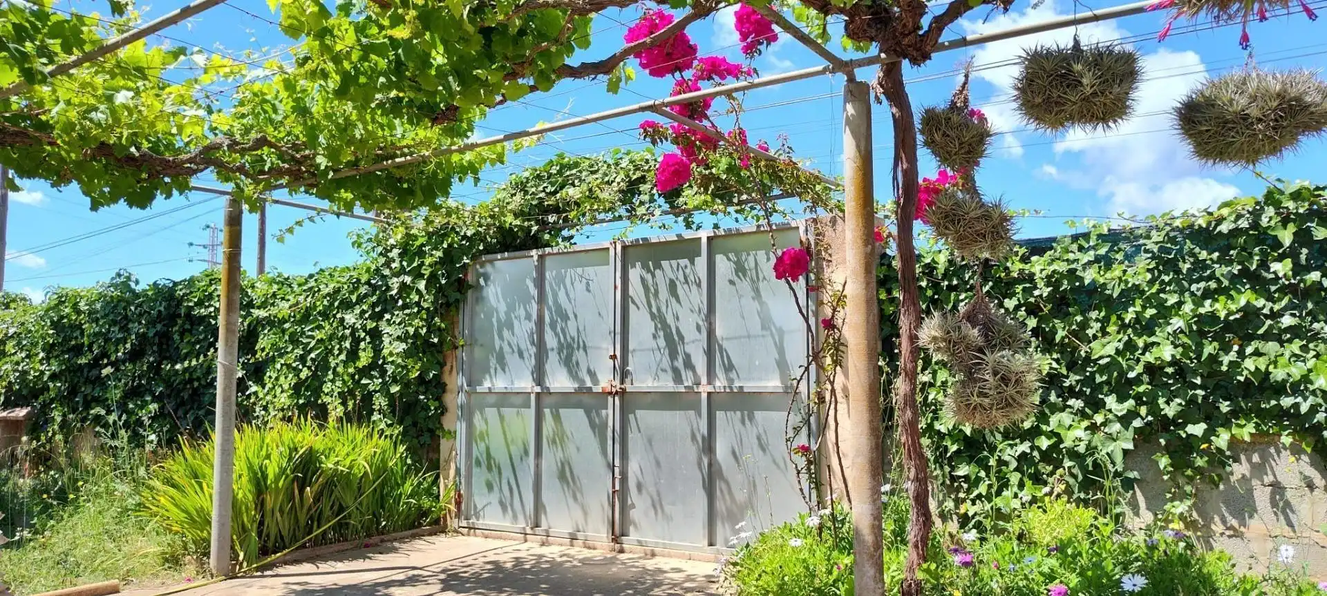 Vista exterior de Finca rústica en venda en  Palma de Mallorca amb Jardí privat i Terrassa
