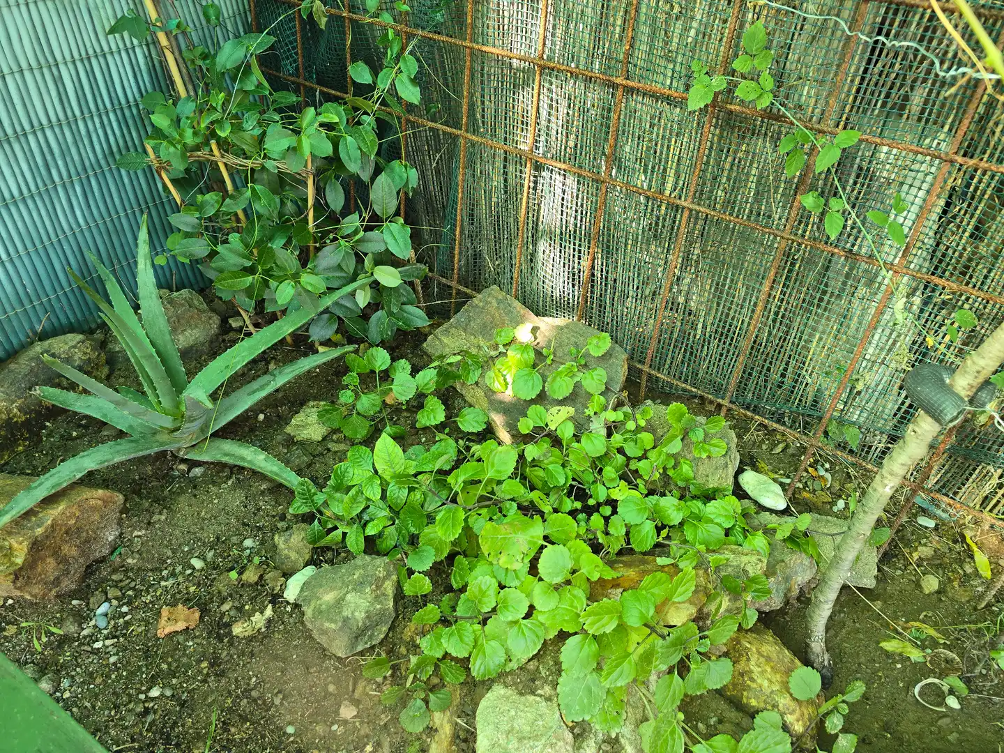 Jardín de Terreno en venta en Vilajuïga