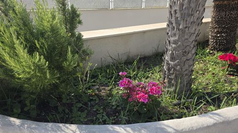 Photo 4 of Houses for sale in Altorreal - El Chorrico, Molina de Segura