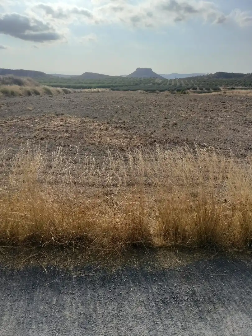 Lands and plots for sale in N/A, imagen 11
