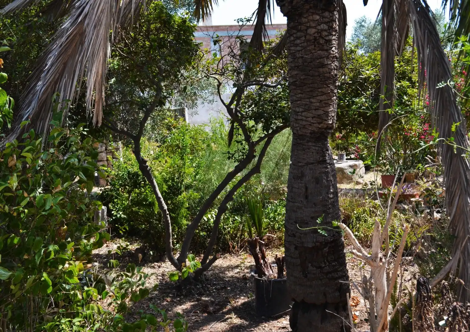 Casa o xalet en venda a Ma-1040, El Secar de la Real