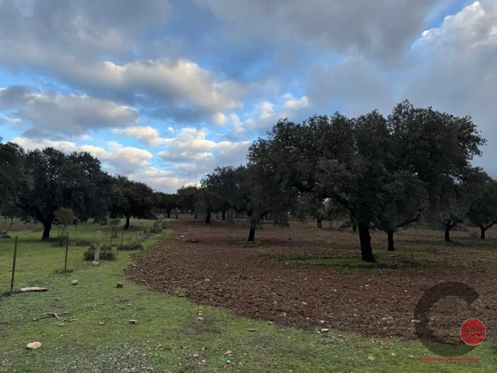 Casa o xalet en venda en Cáceres