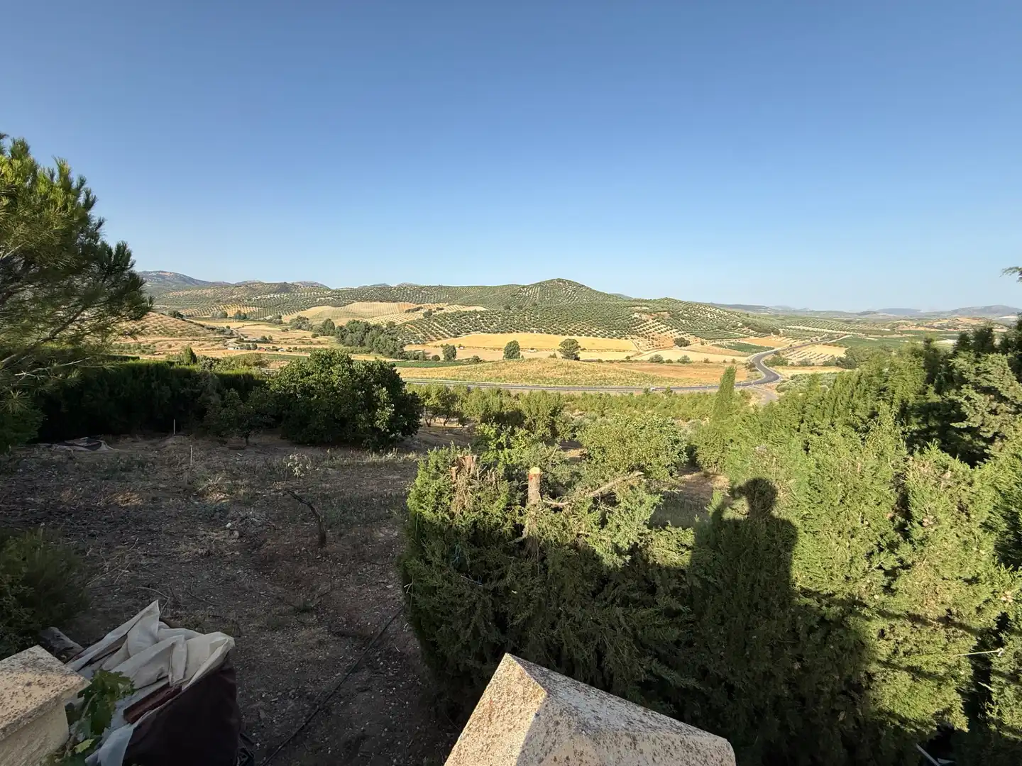 Villa avec terrasse à vendre à Carretera Santa Ana, imagen 17