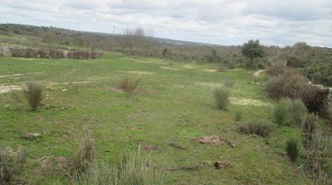 Foto 3 de Finca rústica en venda a San Felices de los Gallegos, Salamanca