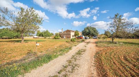 Photo 3 of Country house for sale in L'Olivera, Illes Balears