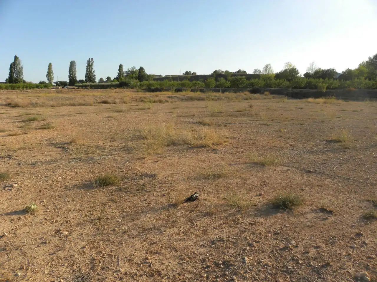 Residential land for sale in Caravaca de la Cruz, imagen 14