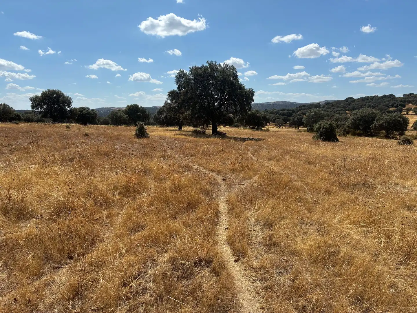 Terreno rustico in vendita a Mohedas de la Jara, imagen 13