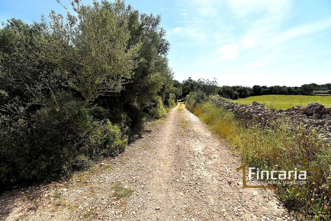 Lands and plots for sale in Ma-5120, imagen 17