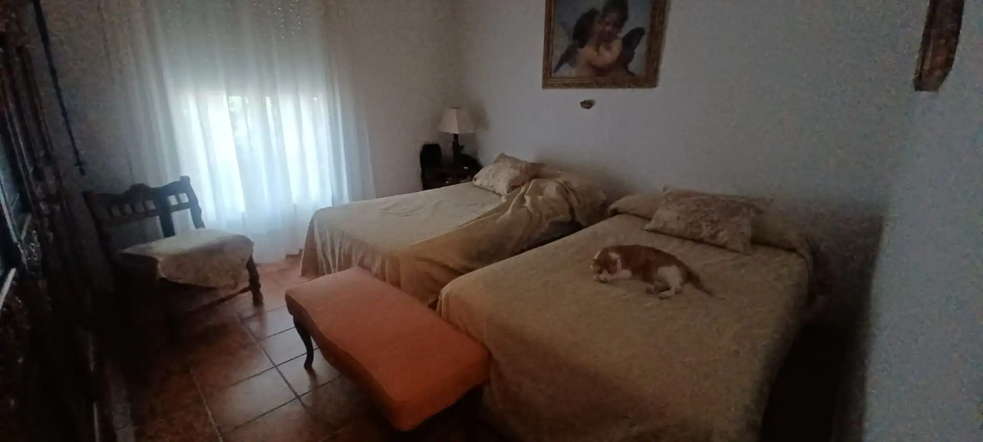 Haus mit Garten zum Verkauf in Castilblanco de los Arroyos, imagen 7