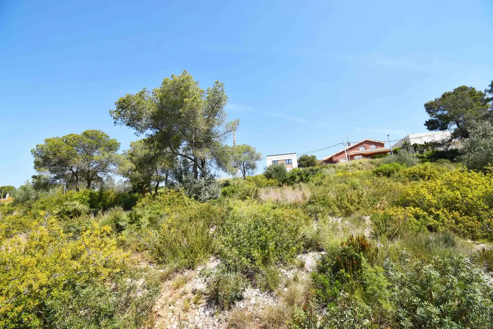 Terreno residencial en venta en Canyelles, imagen 11