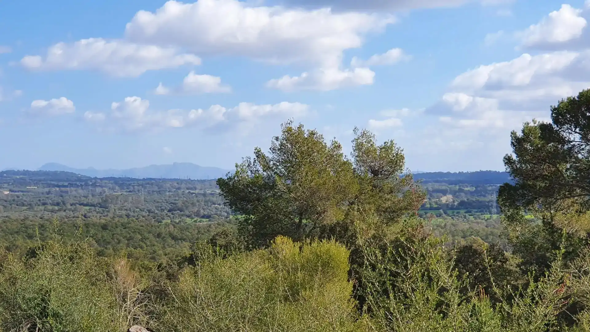 Terreny en venda en Costitx