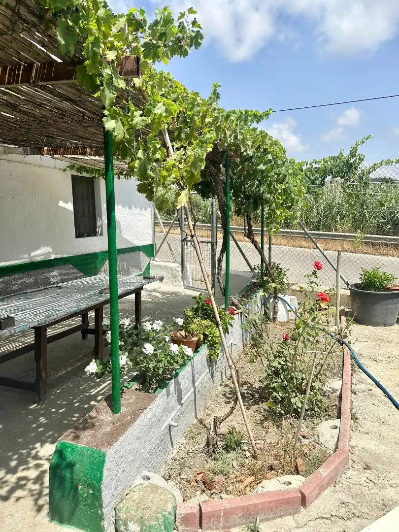 Terrace of Country homes for sale in Benamocarra  with Private garden, Storage room and Swimming Pool