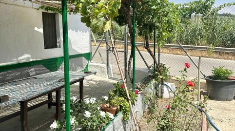 Photo 2 of Country house for sale in Benamocarra, Málaga