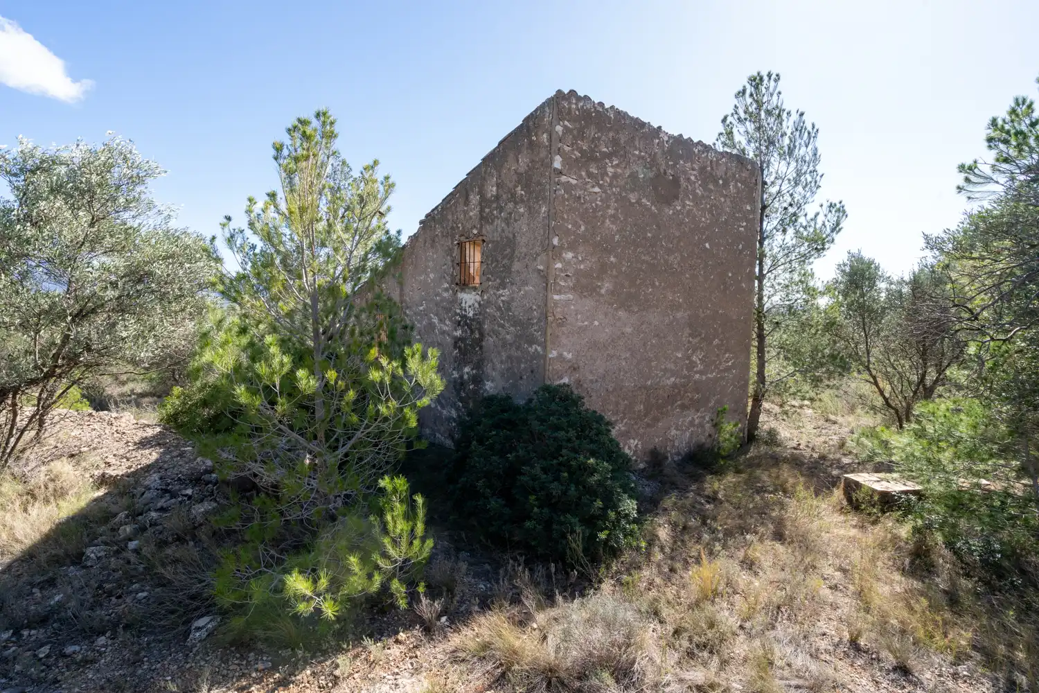 Terrain rustique à vendre à Xerta, imagen 24