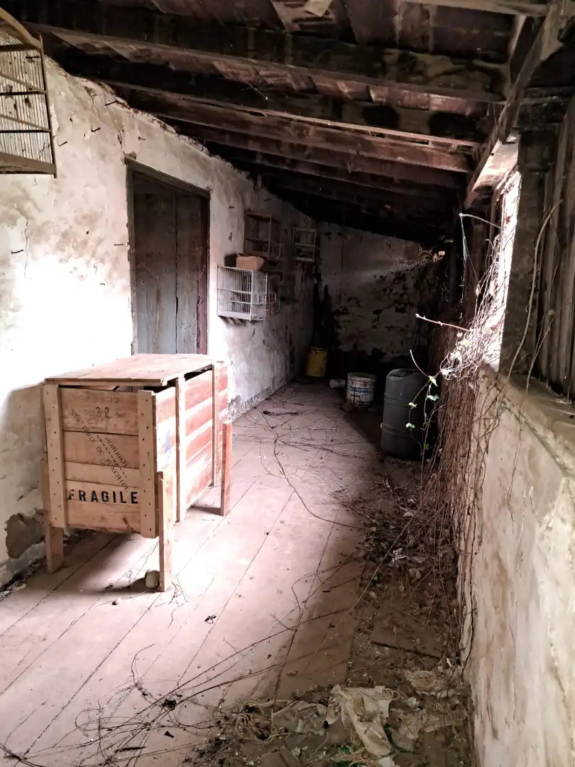 Country homes for sale in El Sauzal
