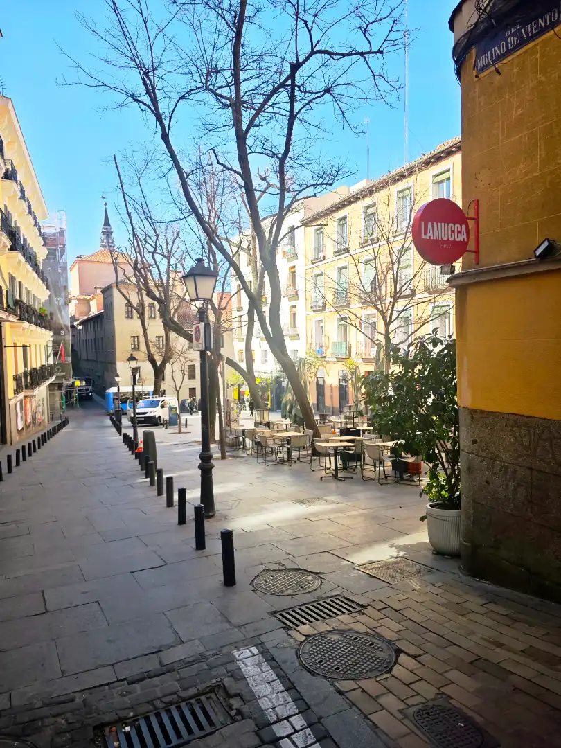 Wohnung mit Terrasse zum Verkauf in Calle del Molino de Viento 5, imagen 3