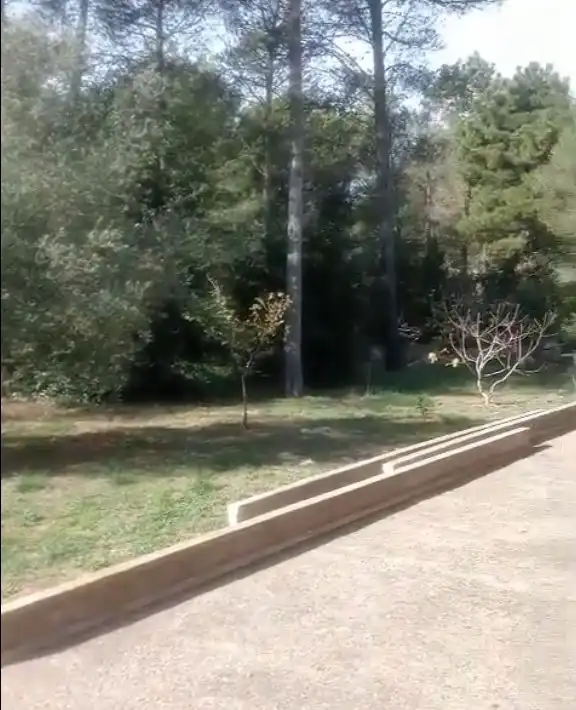 Maison rustique à vendre à Partida les Foyes, imagen 45
