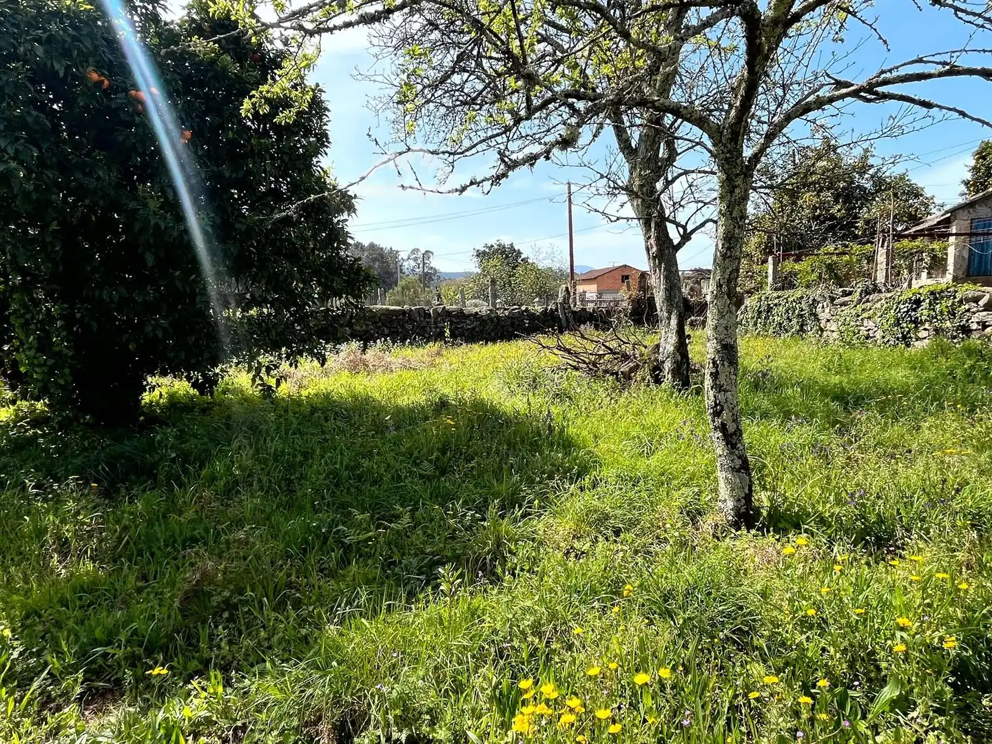 Rural land for sale in Arbo, imagen 5