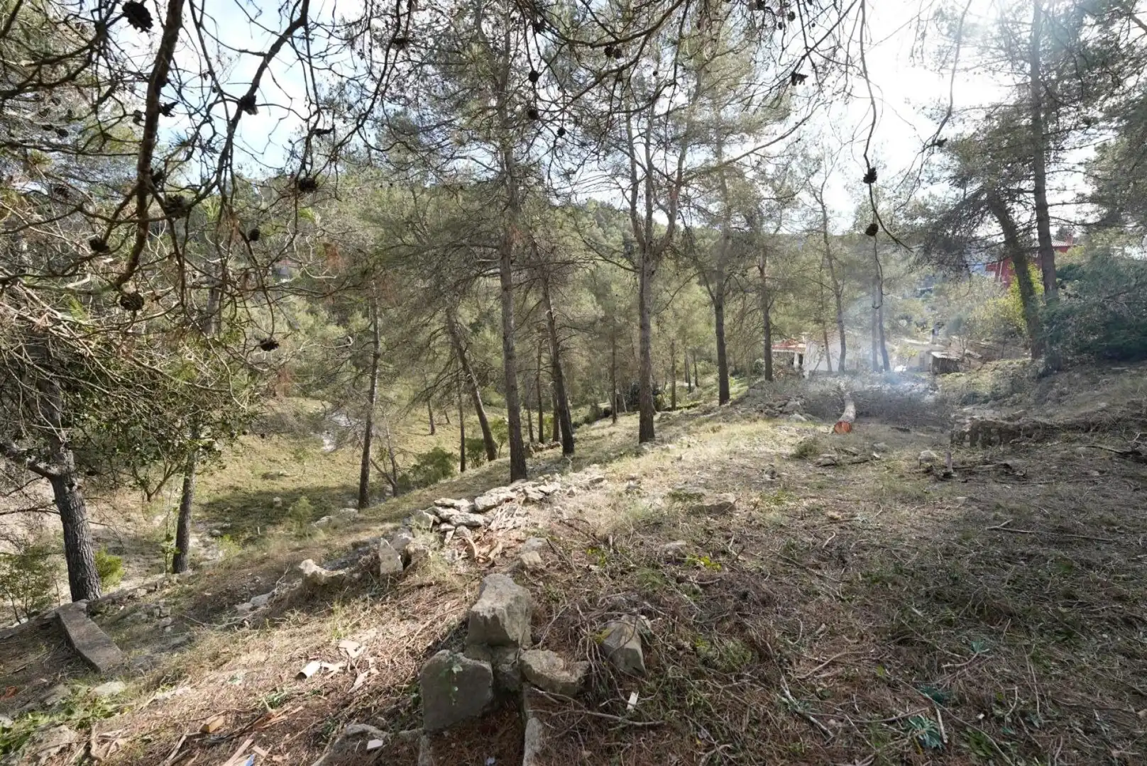 Terrenys i solars en venda a Olesa de Bonesvalls, imagen 15