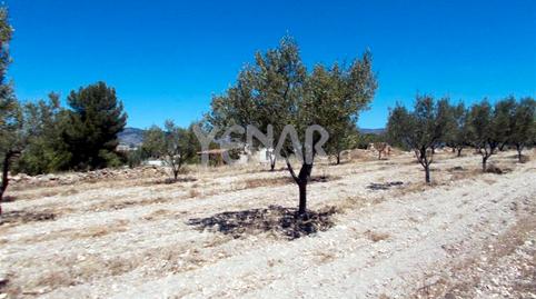 Foto 5 de Terreny en venda a Castalla, Alicante