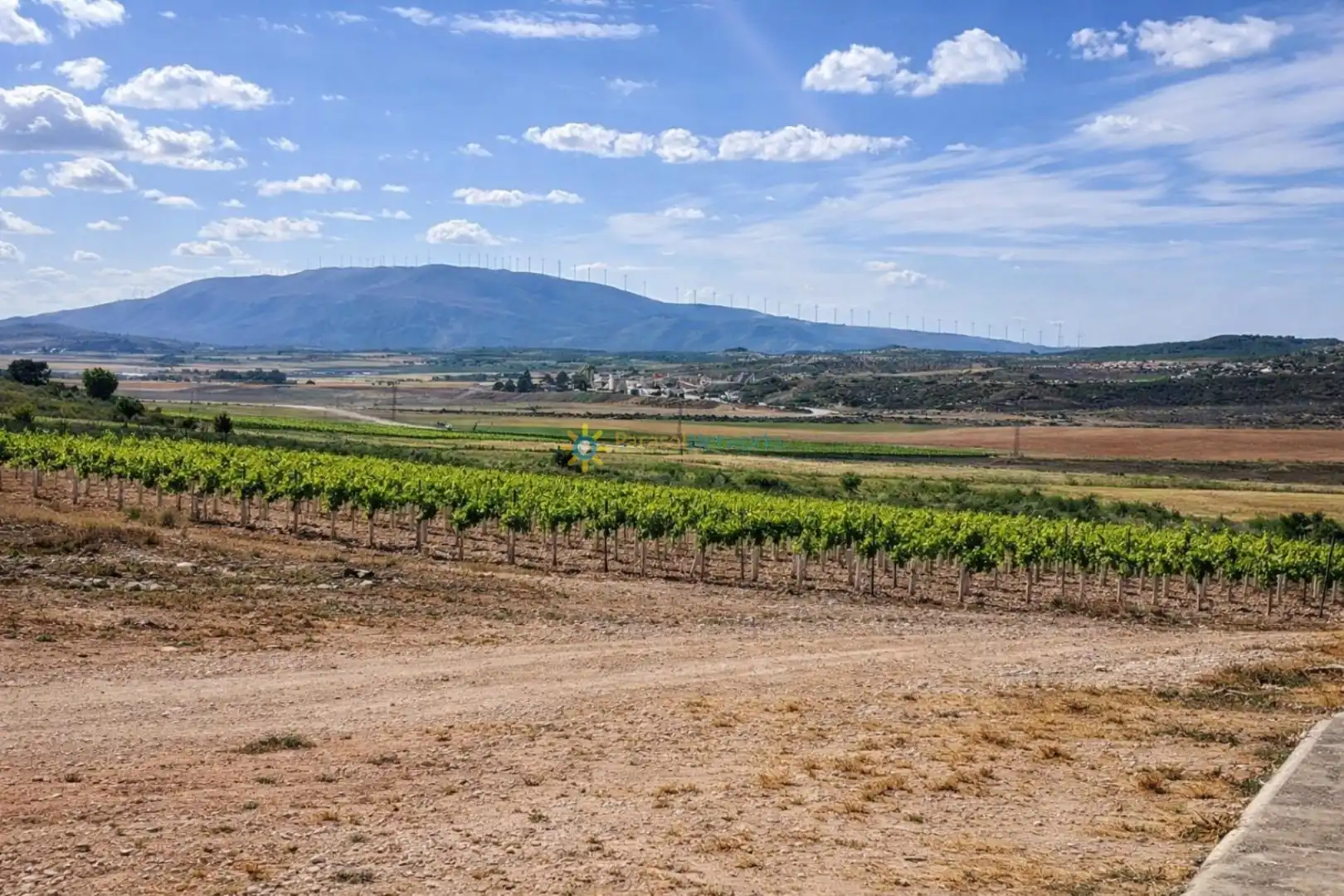 Vista exterior de Finca rústica en venda en Villena amb Jardí privat, Terrassa i Traster