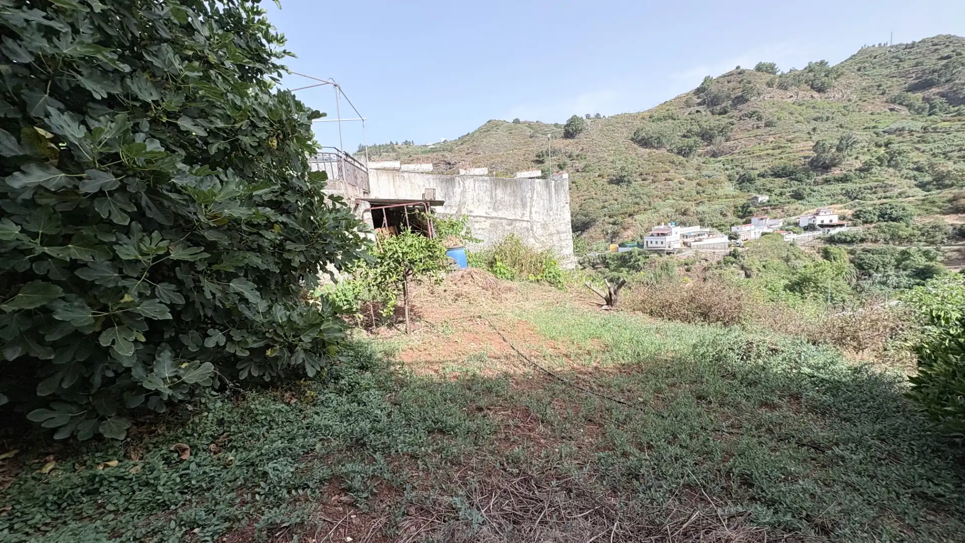 Maison mitoyenne avec jardin à vendre à Teror pueblo, imagen 2
