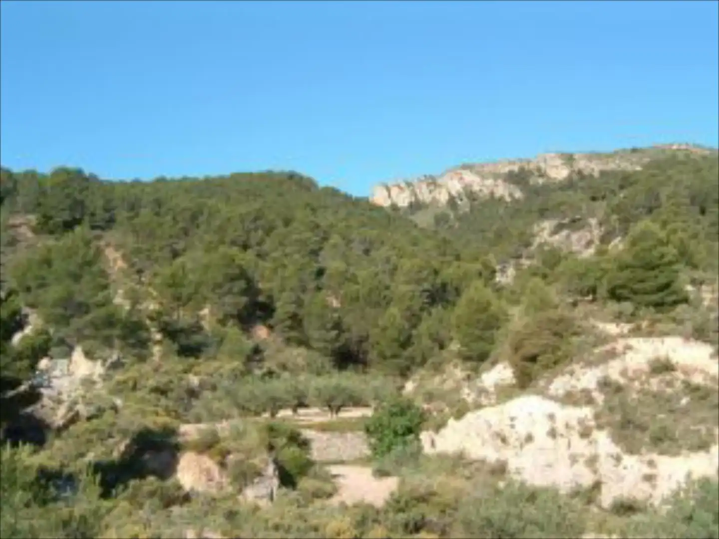Terreny rústic en venda a Castalla, imagen 7