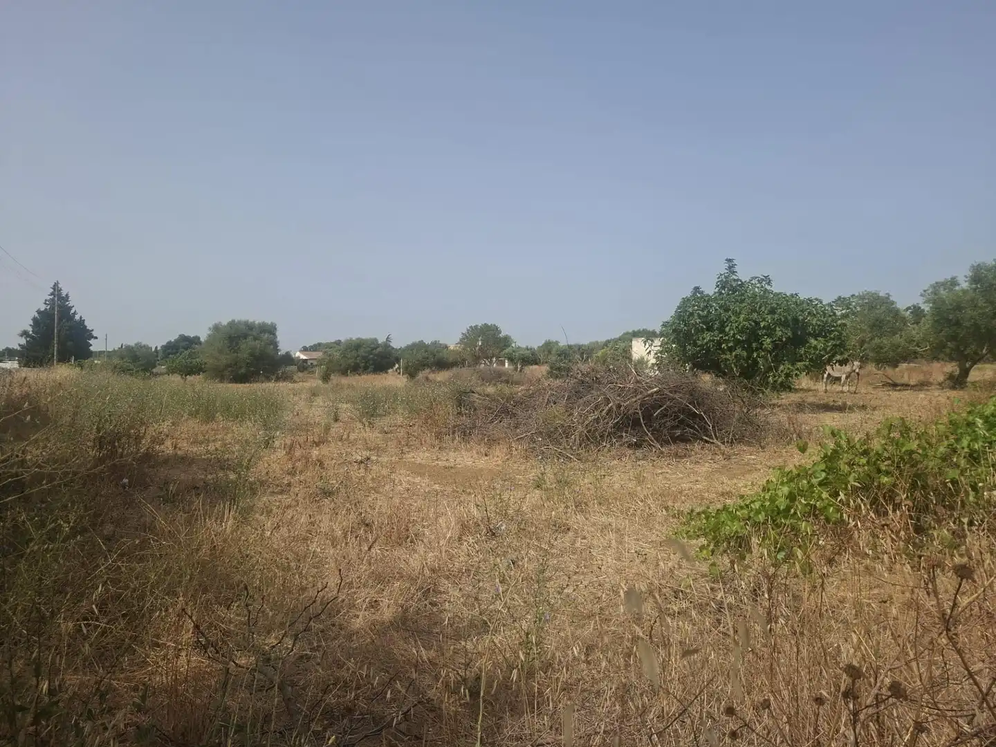 Residential land for sale in Pelagatos - Pago del Humo, imagen 6