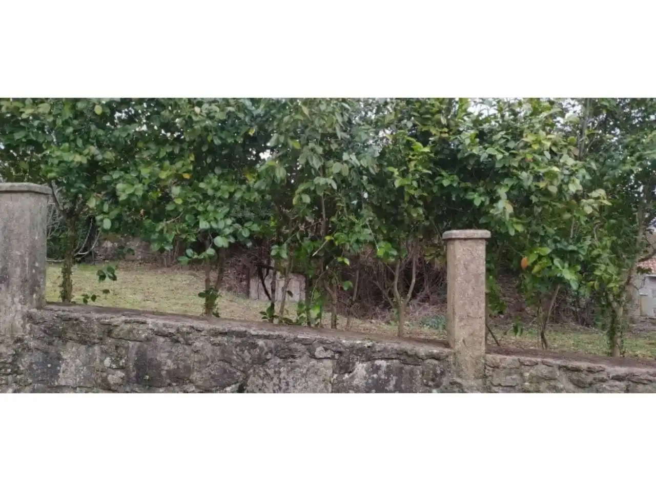 Terreny rústic en venda a Calle Lugar Barrabaite - Lamela 18, imagen 7