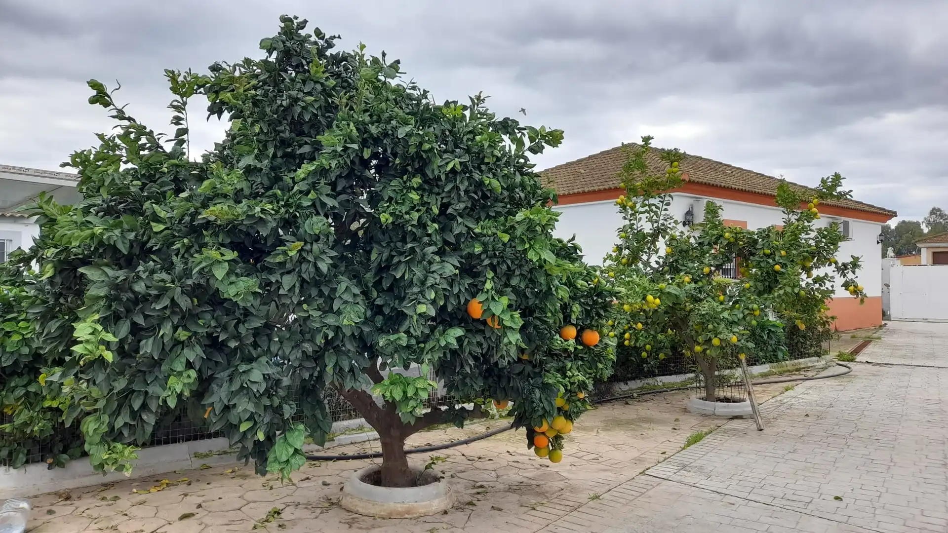 Garden of Houses for sale in Córdoba  with Air Conditioner, Heating and Private garden