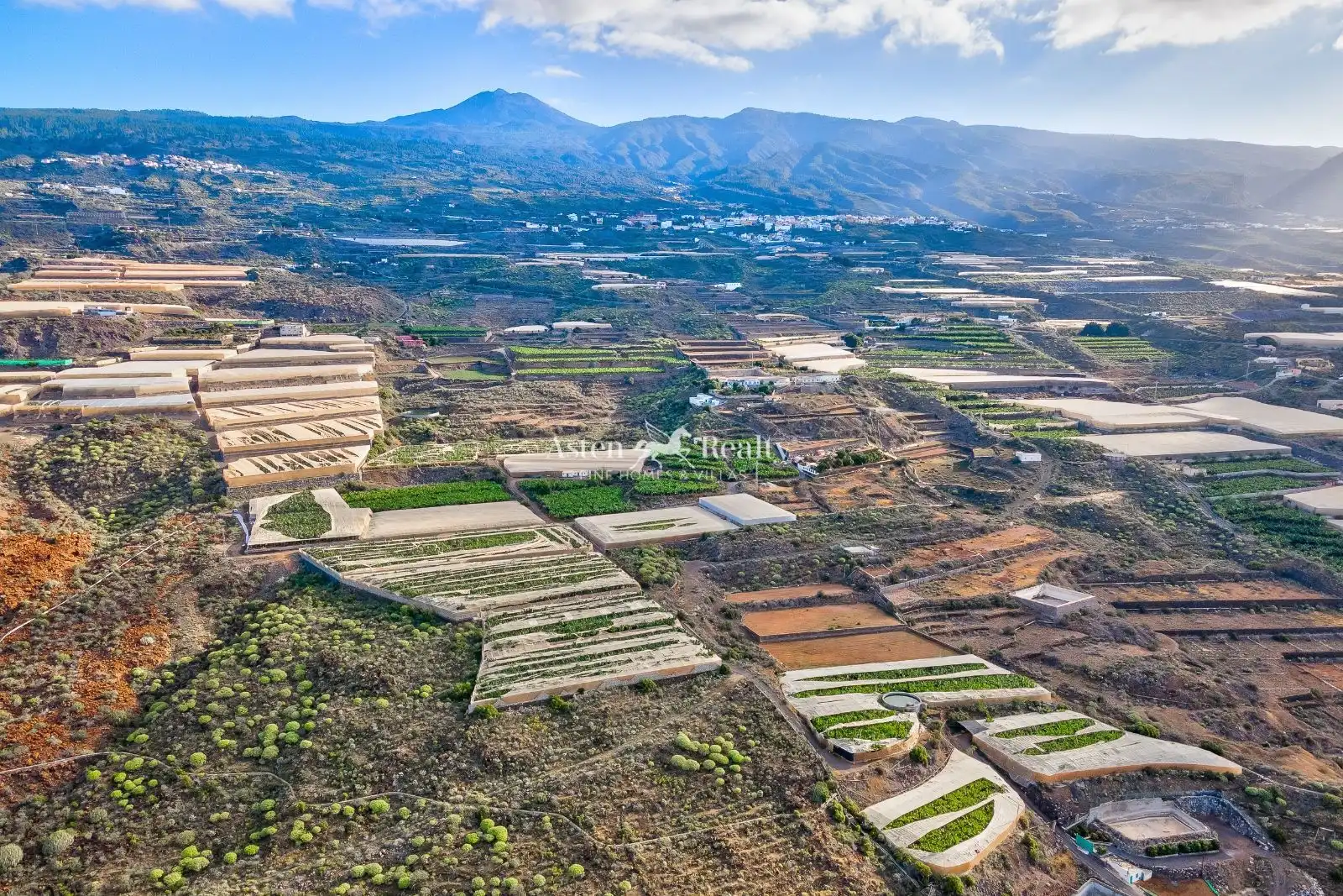 Terreny rústic en venda a Finca El Morenero, imagen 2