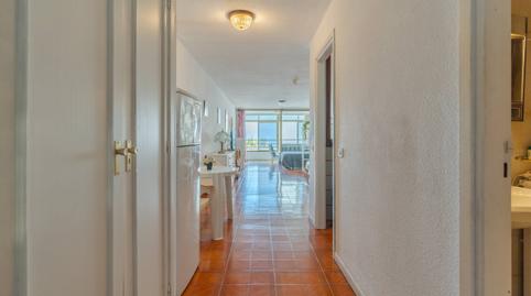 Photo 4 of Study for rent in Avenida Cristobal Colon, 26, Zona Botánico, Puerto de la Cruz