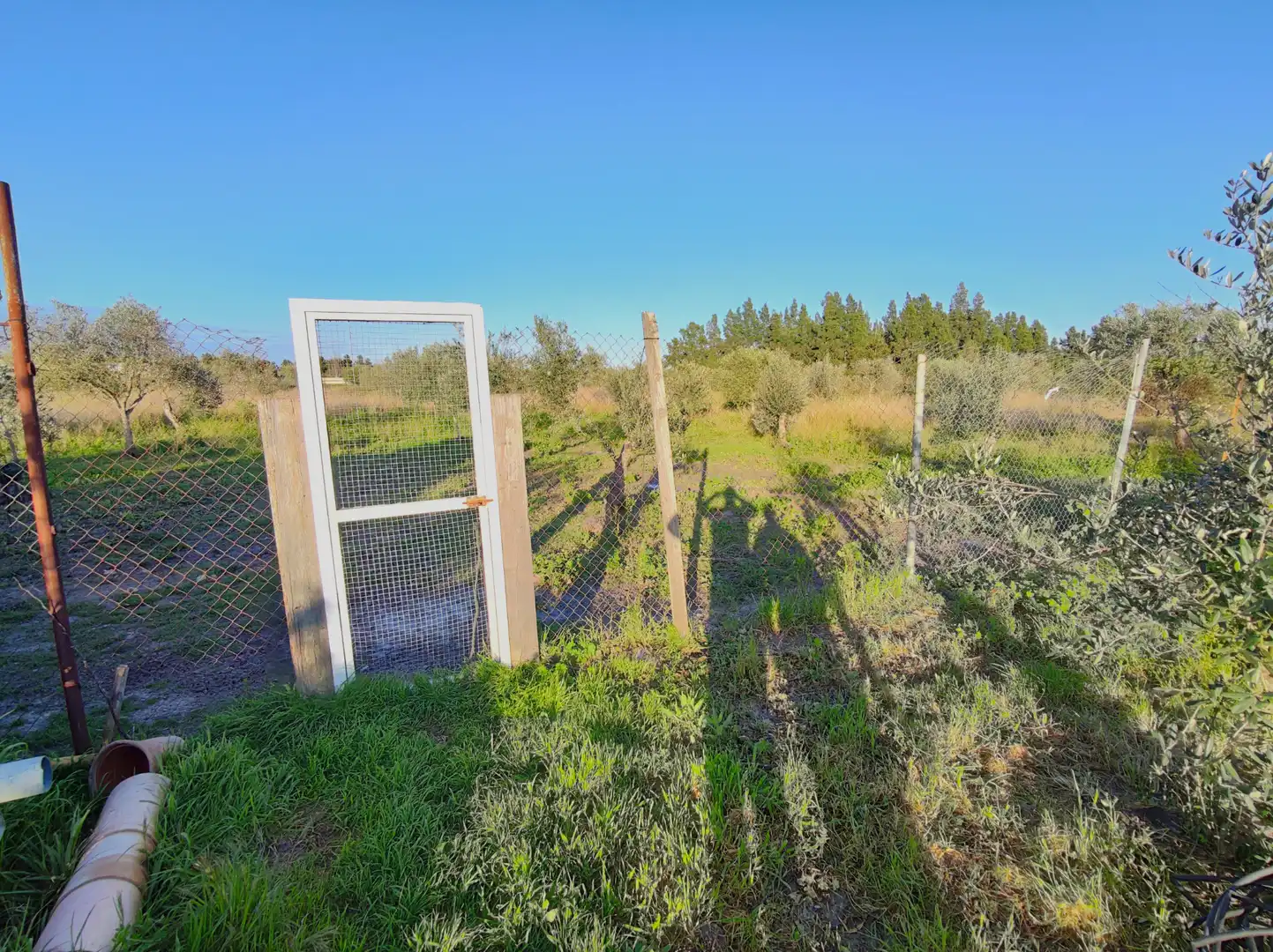 Lands and plots for sale in Lebrija, imagen 15