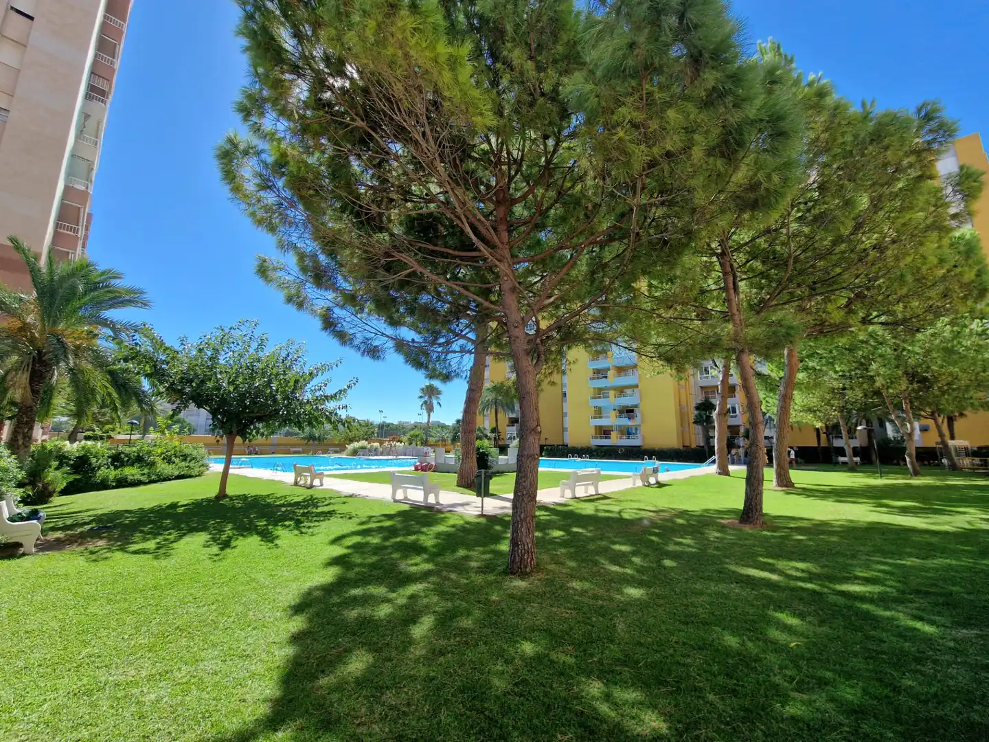 Appartement compact avec piscine à vendre à Carrer Arroz y Tartana, imagen 31