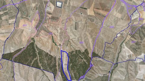 FINCA RUSTICA EN SANTA FE 21Ha, immagine 3