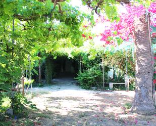 Jardí de Casa o xalet en venda en Alhama de Almería amb Aire condicionat, Terrassa i Piscina