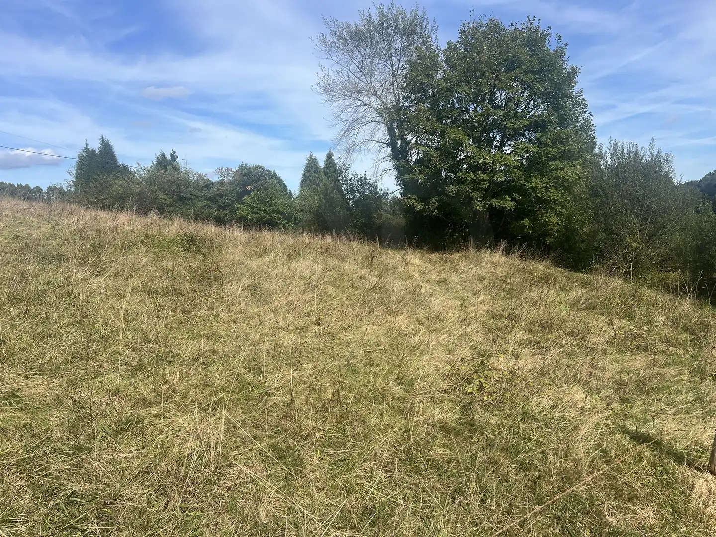 Lands and plots for sale in Pillarno, imagen 19