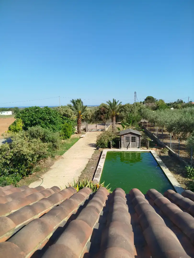 Piscina de Casa o xalet en venda en Benicarló amb Aire condicionat, Calefacció i Jardí privat